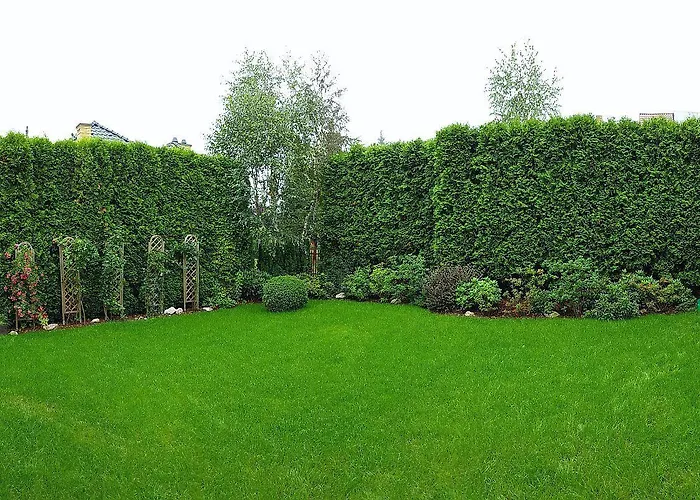 Saltapart * ヴィエリチカ